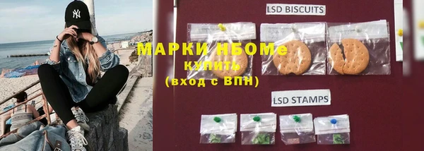 твердый Арсеньев