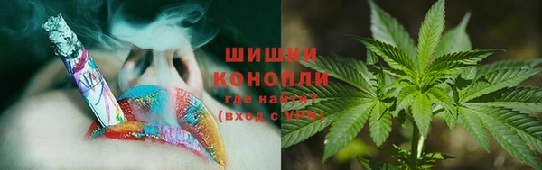 твердый Арсеньев
