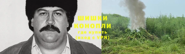 стаф Аркадак