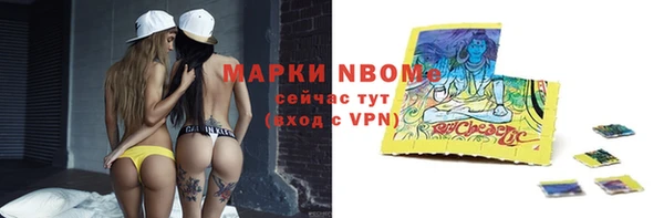твердый Арсеньев