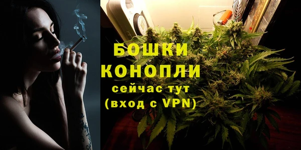 стаф Аркадак