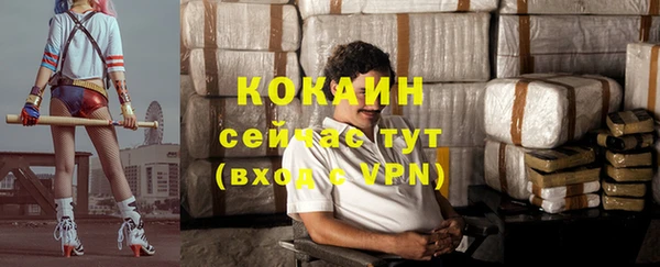 стаф Аркадак