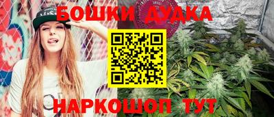 амф Дубна