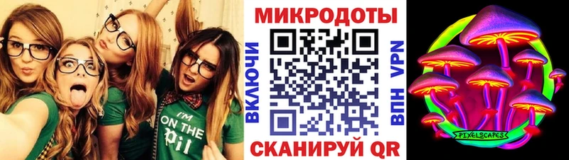 Псилоцибиновые грибы Psilocybine cubensis  Кызыл 