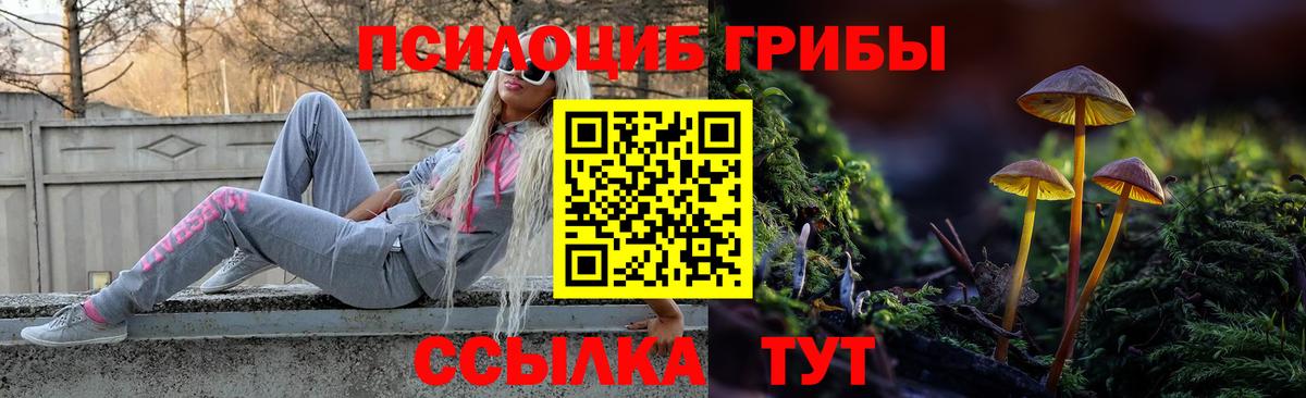 Псилоцибиновые грибы мицелий  Вход с VPN  Псилоцибиновые грибы Psilocybe  Кызыл 